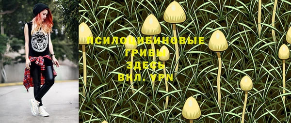 соль ск Покров