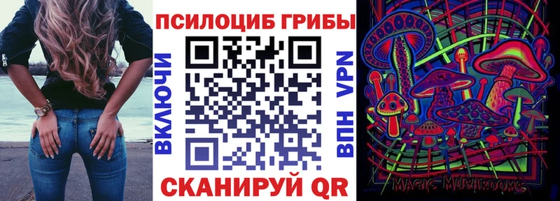 МЕГА сайт  Канаш  Галлюциногенные грибы Psilocybe  купить закладку 