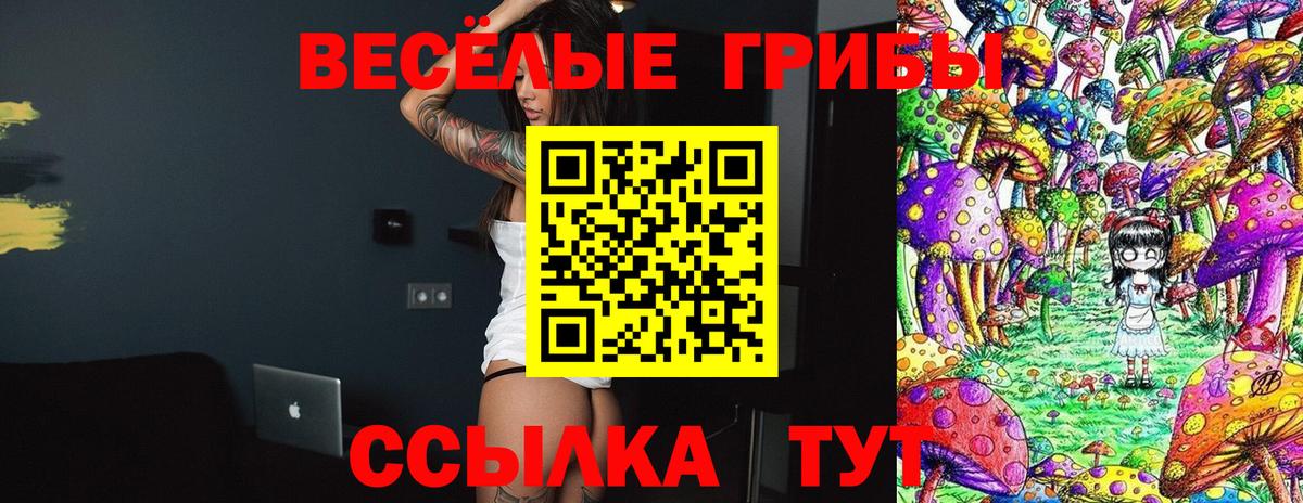 Галлюциногенные грибы прущие грибы Канаш