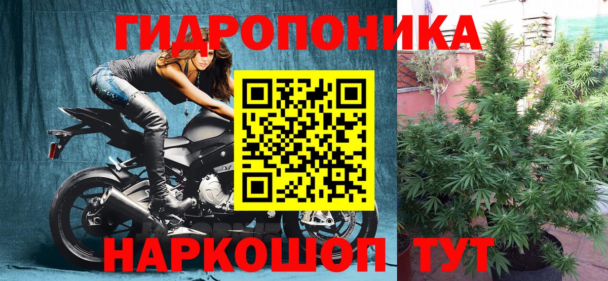 Бошки марихуана ГИДРОПОН  Конопля LSD WEED  Вход с VPN  Марихуана LSD WEED  Канаш  Канабис Bruce Banner 